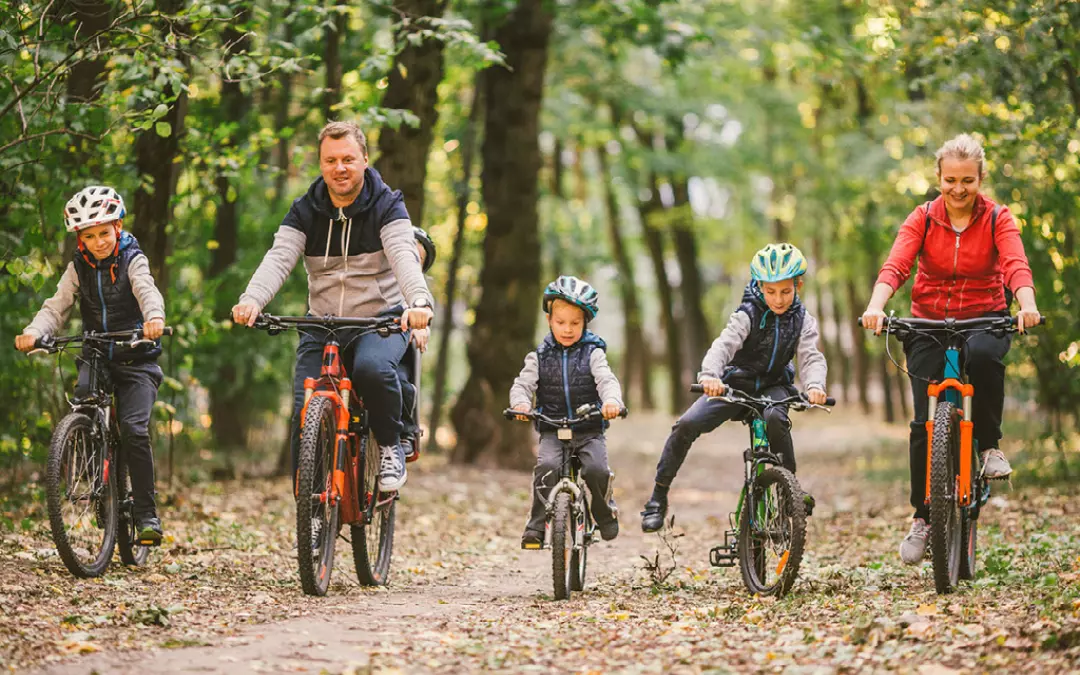 A family on bikes in Thetford Forest