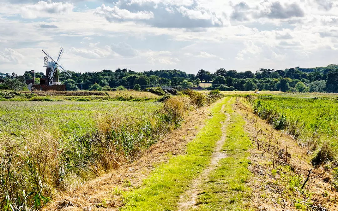 A countryside footpath in Norfolk