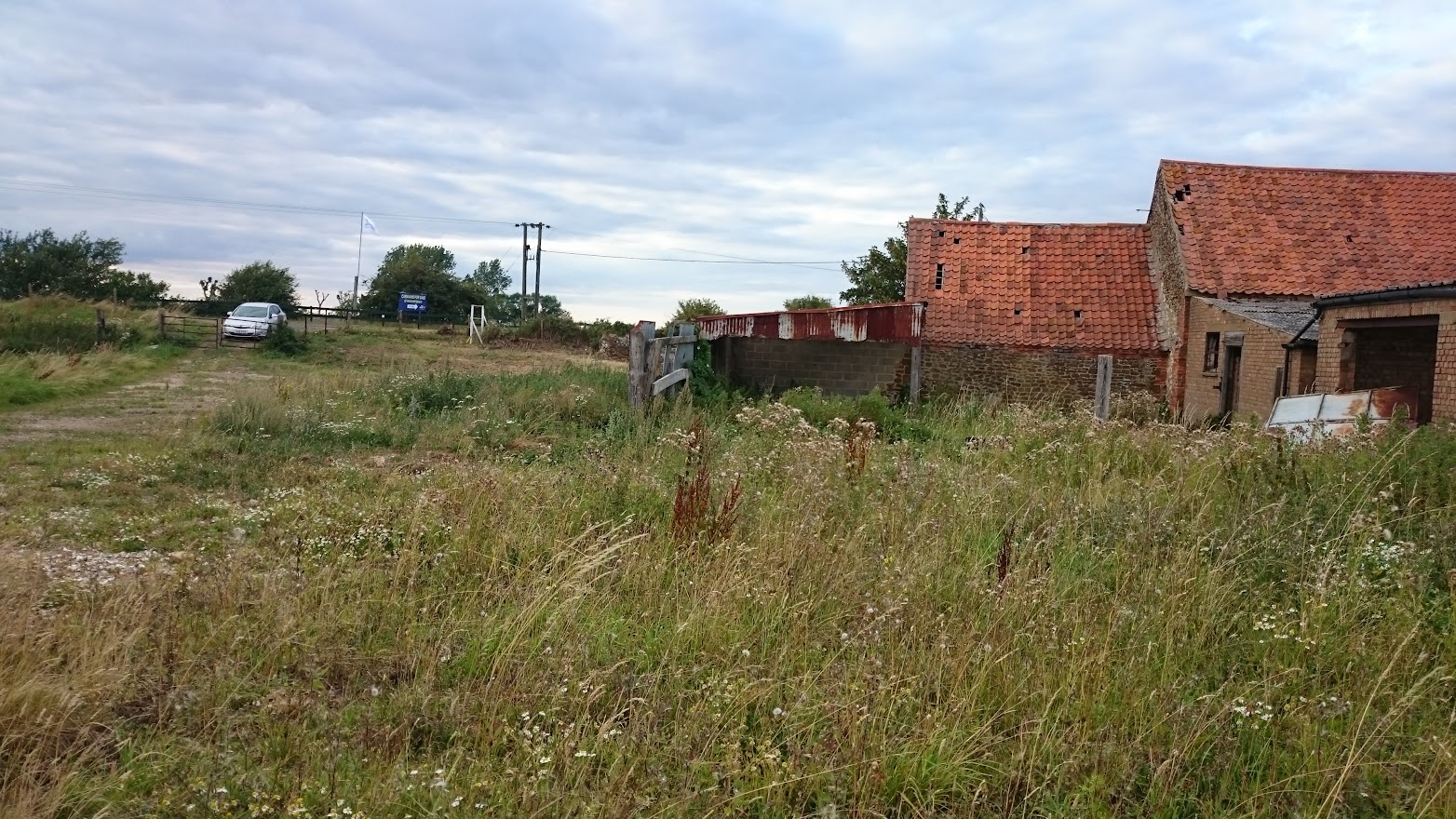 overgrown field with dilapidated farm buildings