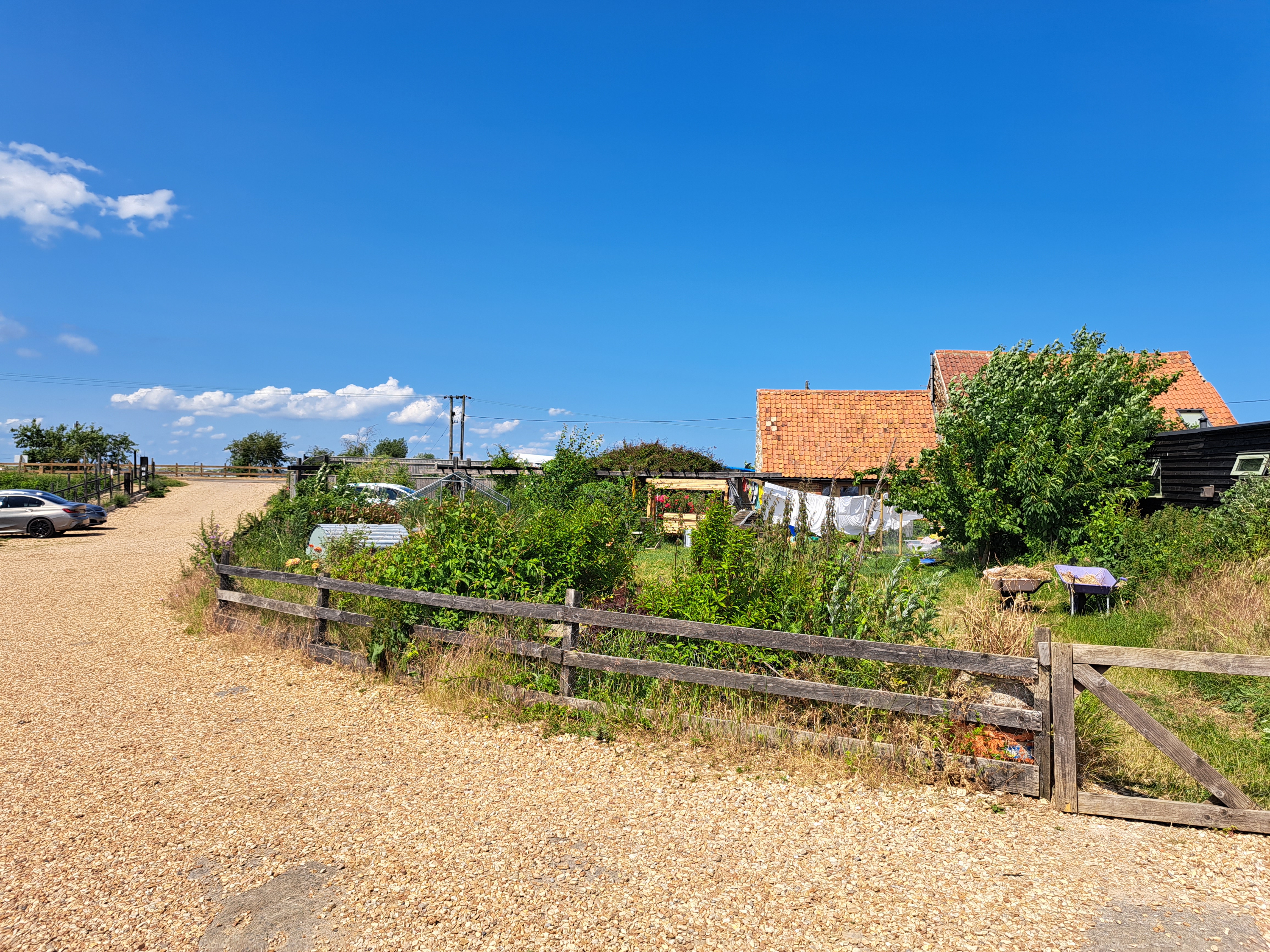 A natural garden and repaired buildings in sunshine