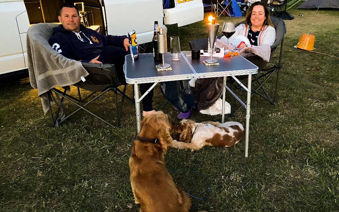 guests dining outside with dogs