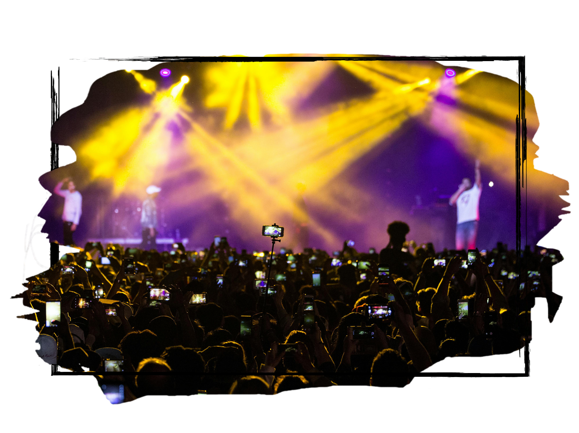 Go Wild Camping for Forest Live