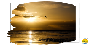 The beach is a 2 minute walk away and gives the most stunning views of a sunset over the sea