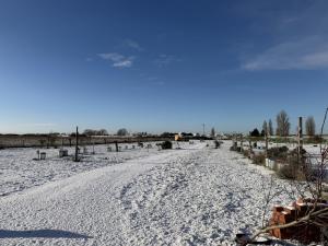 img_1423_1