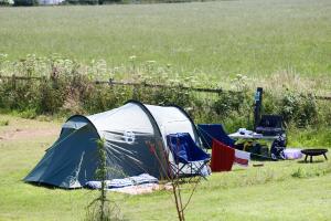 medium-family-tent-field_view