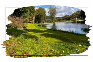 product_page_images-_holt_lakeview