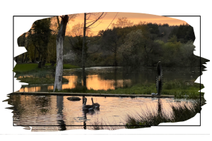 product_page_images-_holt_sunset_lake_view