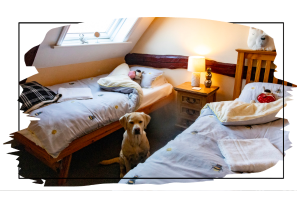 untitled-1-newsletter-glamping-nn_20