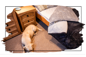 untitled-1-newsletter-glamping-nn_23