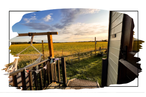 untitled-1-product_page_images-_hunstanton_shepherds_huts_5