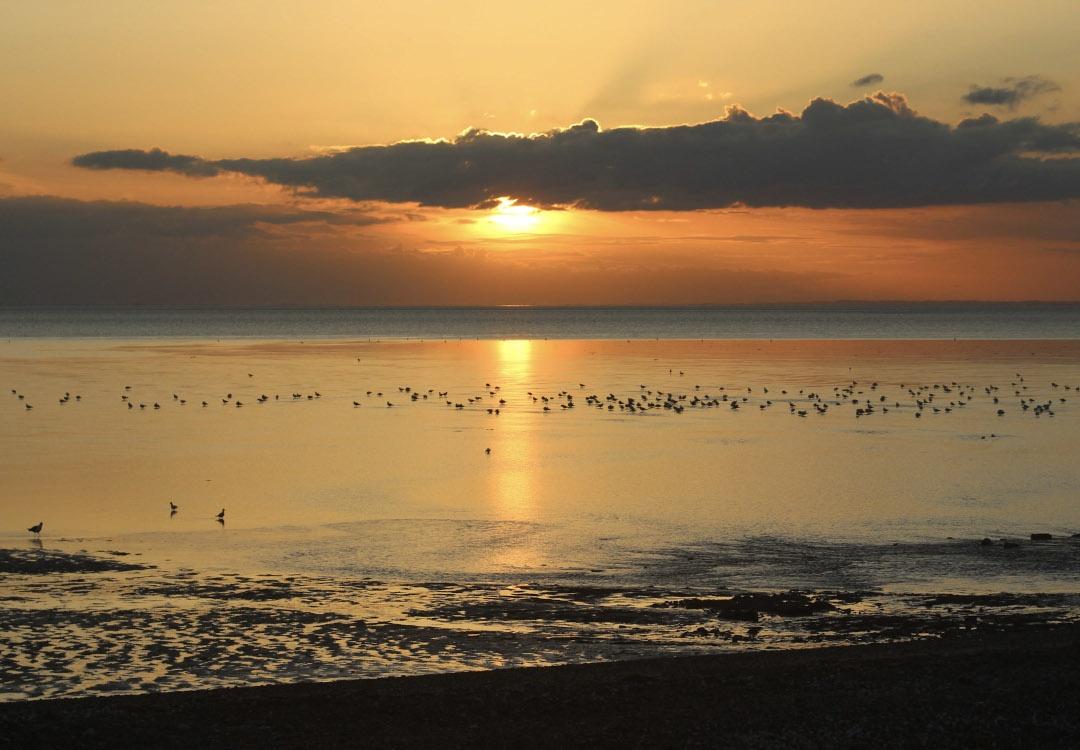 Camping hunstanton: Glamping-couple