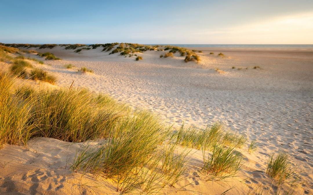 west of wells camping & glamping holkham beach, stunning views across the sand