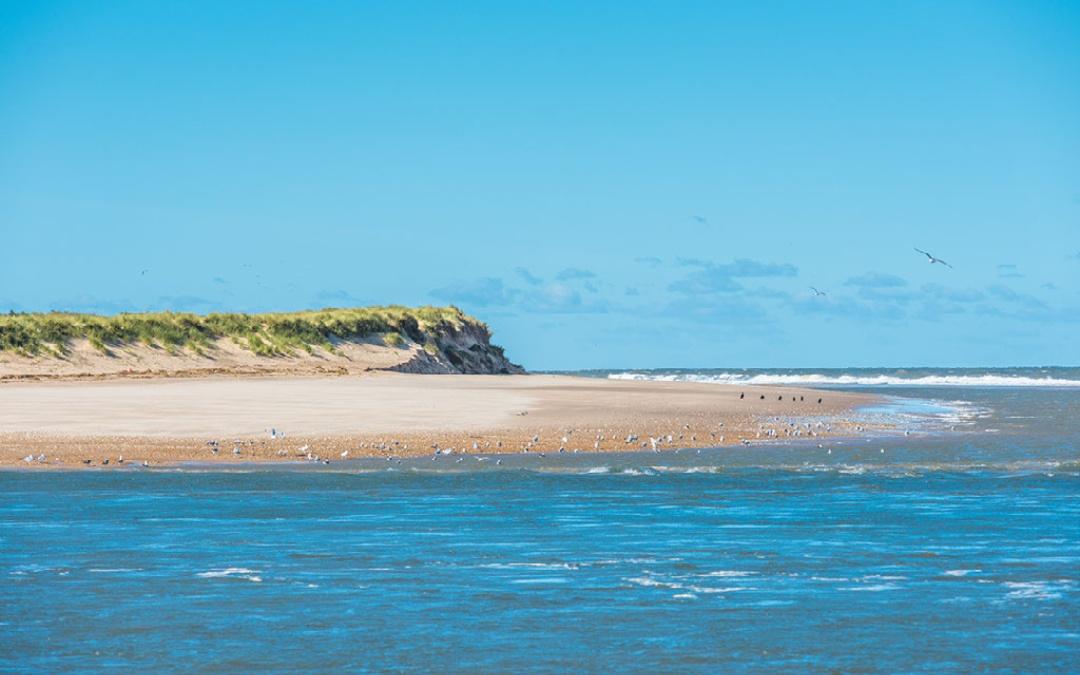 west of wells camping & glamping, scolt head natural nature reserve