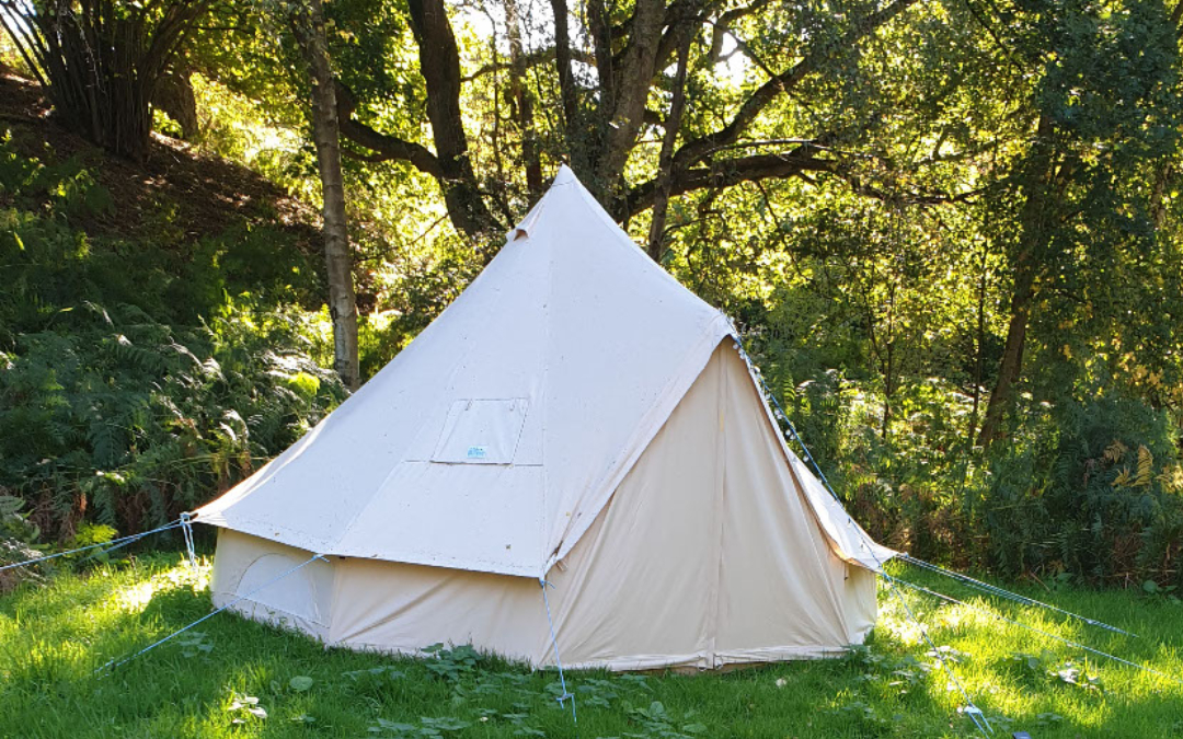 A blank canvas bell tent with meadow views here at West of Wells Glamping
