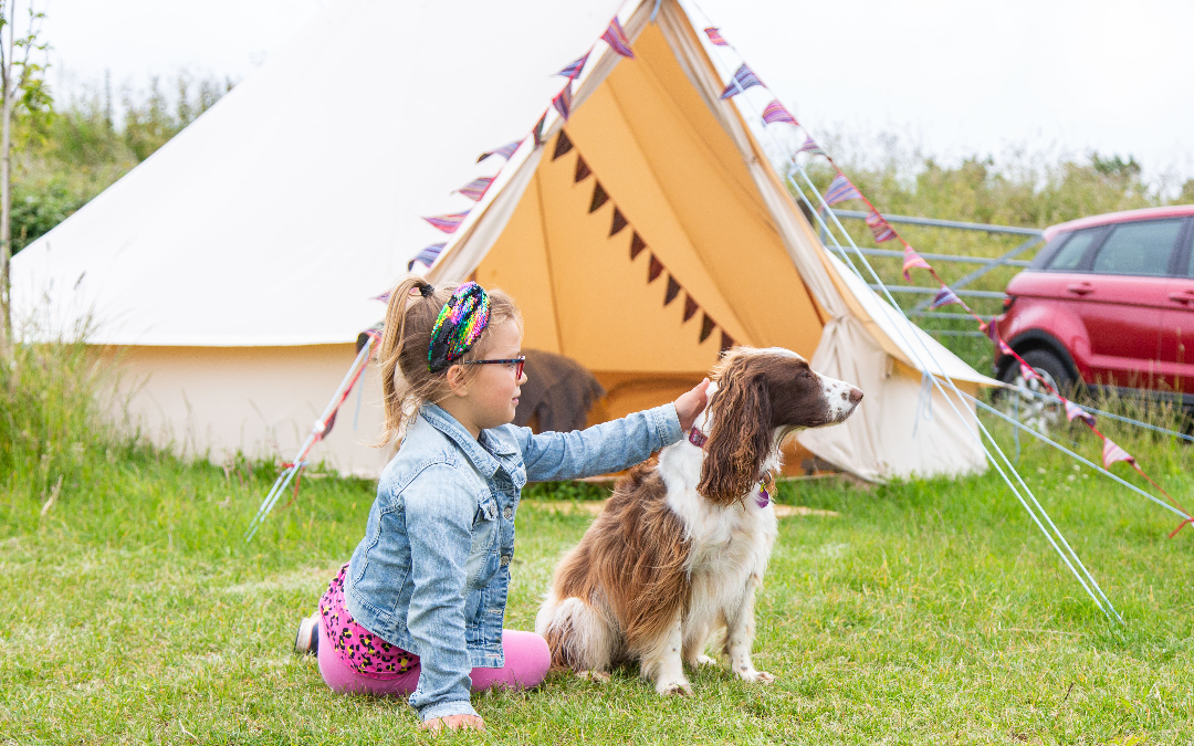 Dog friendly glamping here at West of Well Glamping