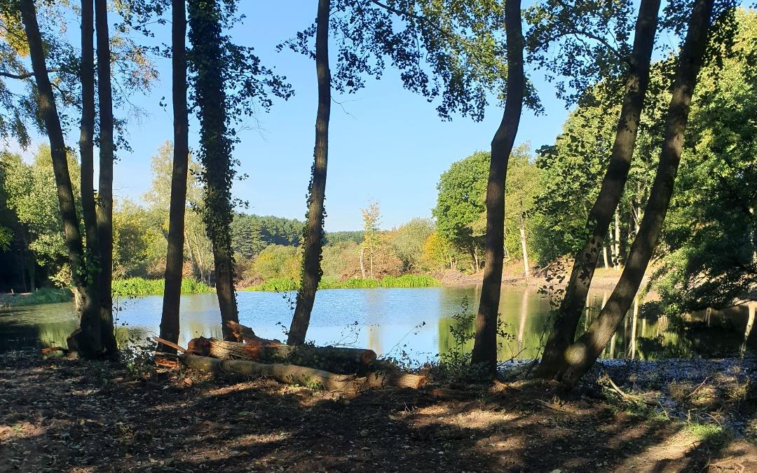 Holt Hollow