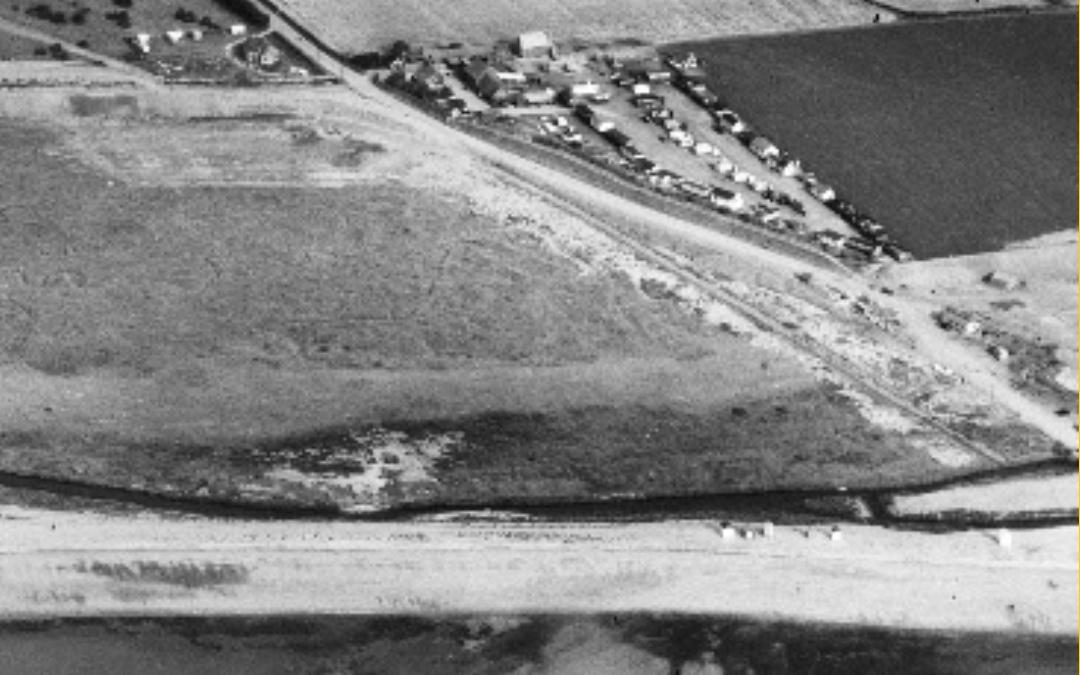 Drome Image of Staithe Farm - South Beach