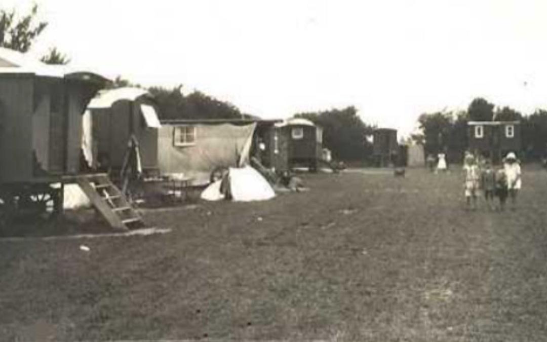 Raines Farm Camping