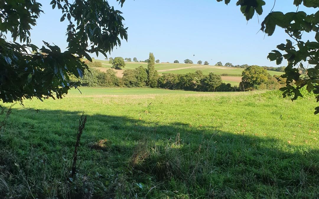 North Norfolk Glamping, Glamping Shepherds Hut
