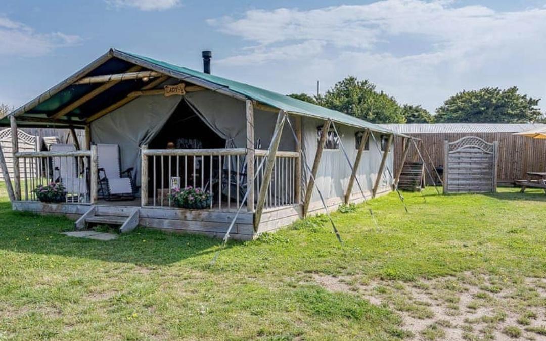 enjoy a stay in our glamping safari tent here at go wild glamping