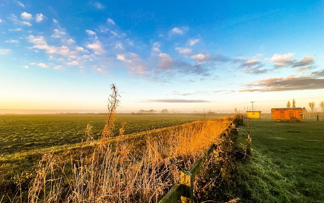 Open Meadow Views