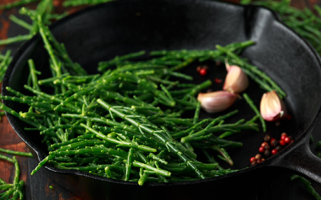 Fresh local samphire here at Norfolk Coast Path Glamping