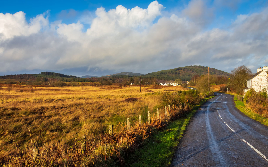 Visit wild ken hill rewilding project here at norfolk coast path Glamping