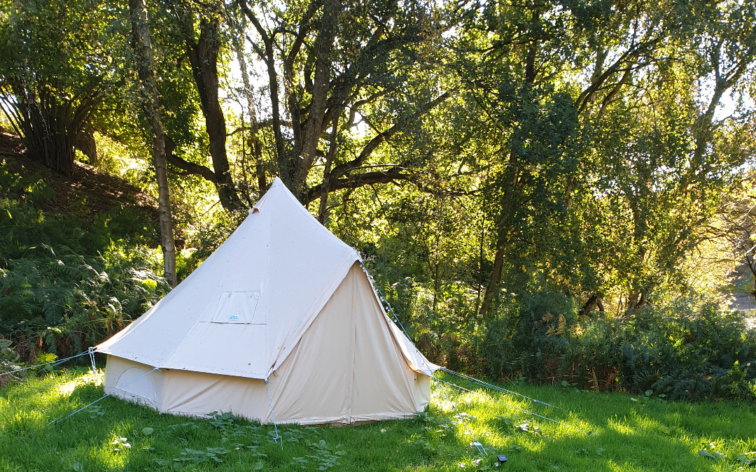 Our blank canvas bell tents with views out over the Norfolk Countryside here at Hunstanton Glamping