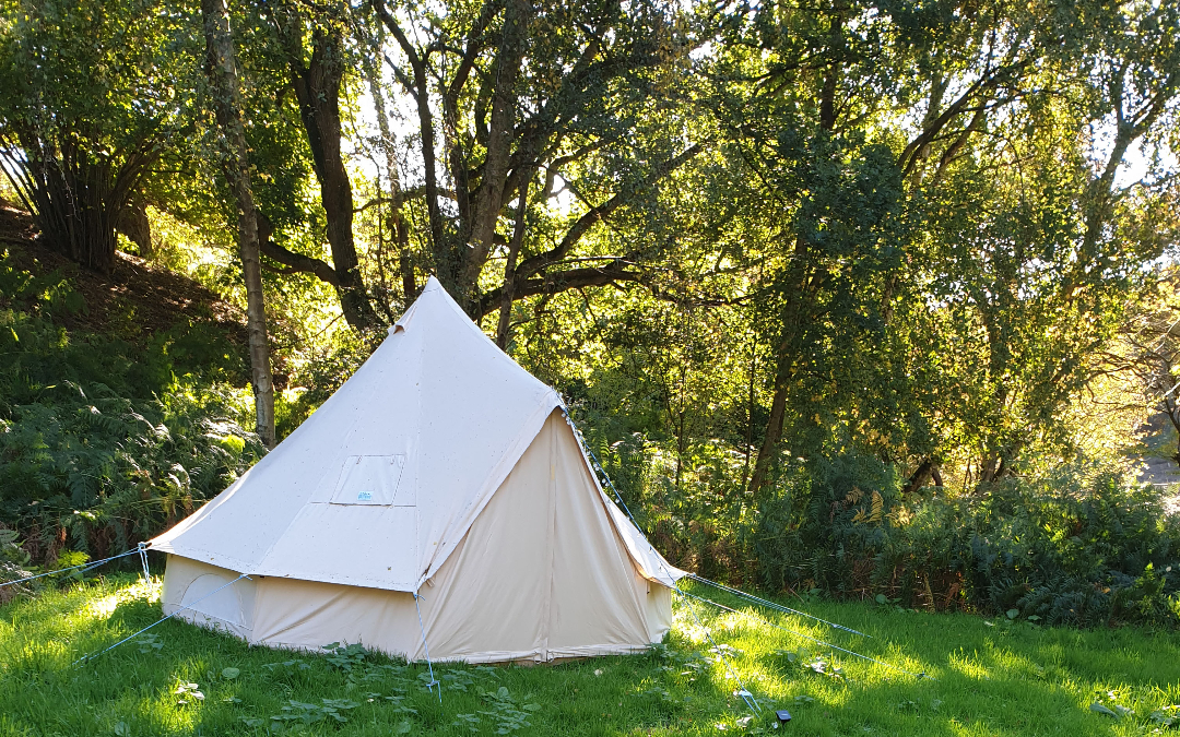 Our blank canvas bell tents with views out over the Norfolk Countryside here at Hunstanton Glamping