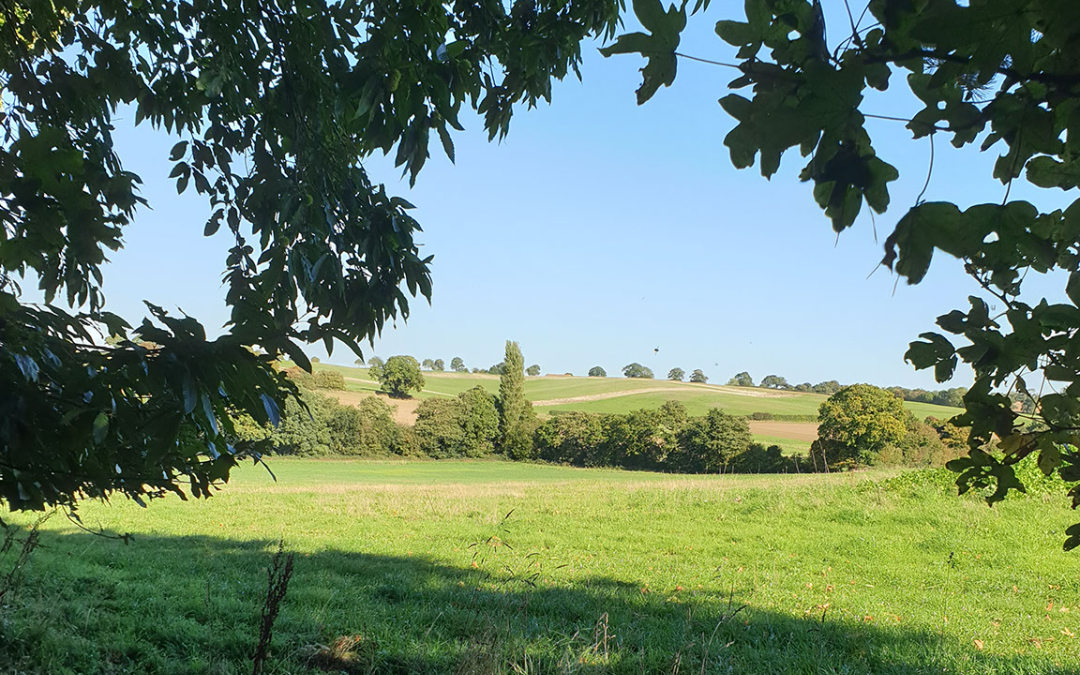 Stunning meadow views here at North Norfolk Glamping in our Glamping Bell Tents