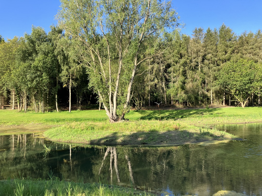 Glamping Shepherds Huts within the Woodlands with Lakeside Views