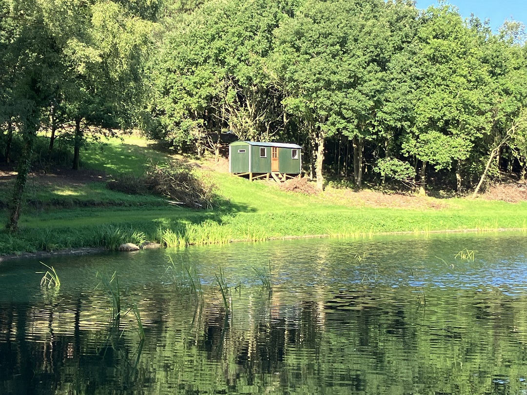 a gentle lake surrounded by trees