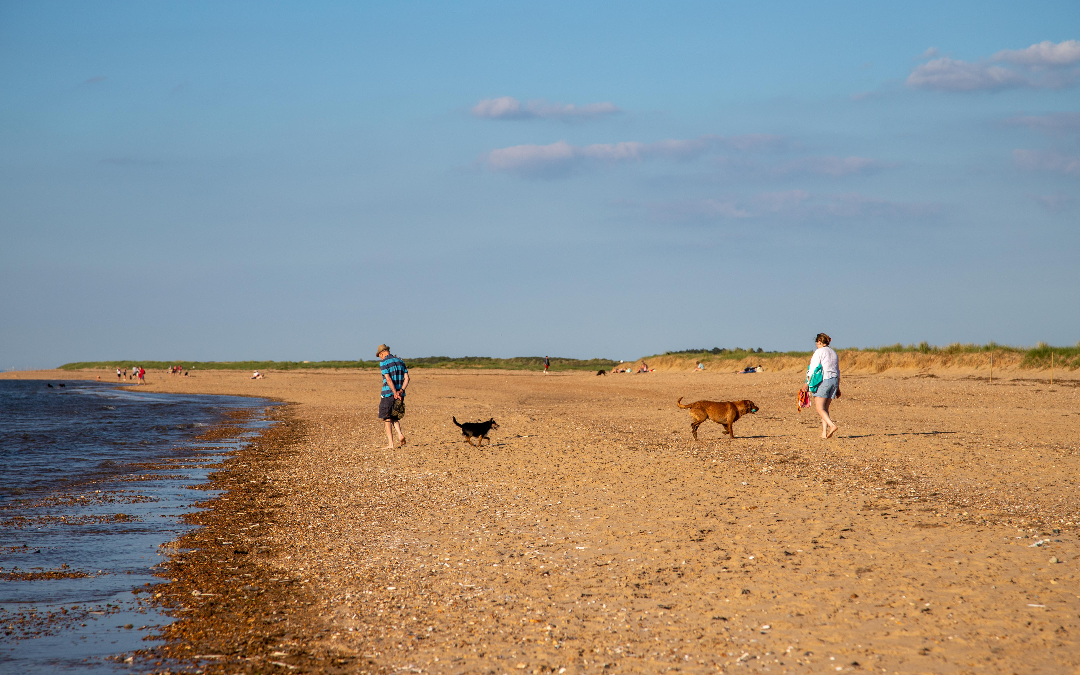 mYminiBreak Norfolk Beaches dog friendly clear skies
