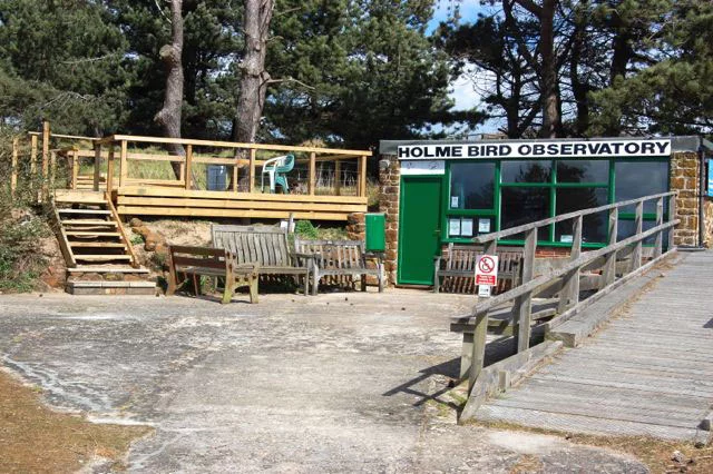 Holme Dunes is a wonderful place to watch birds