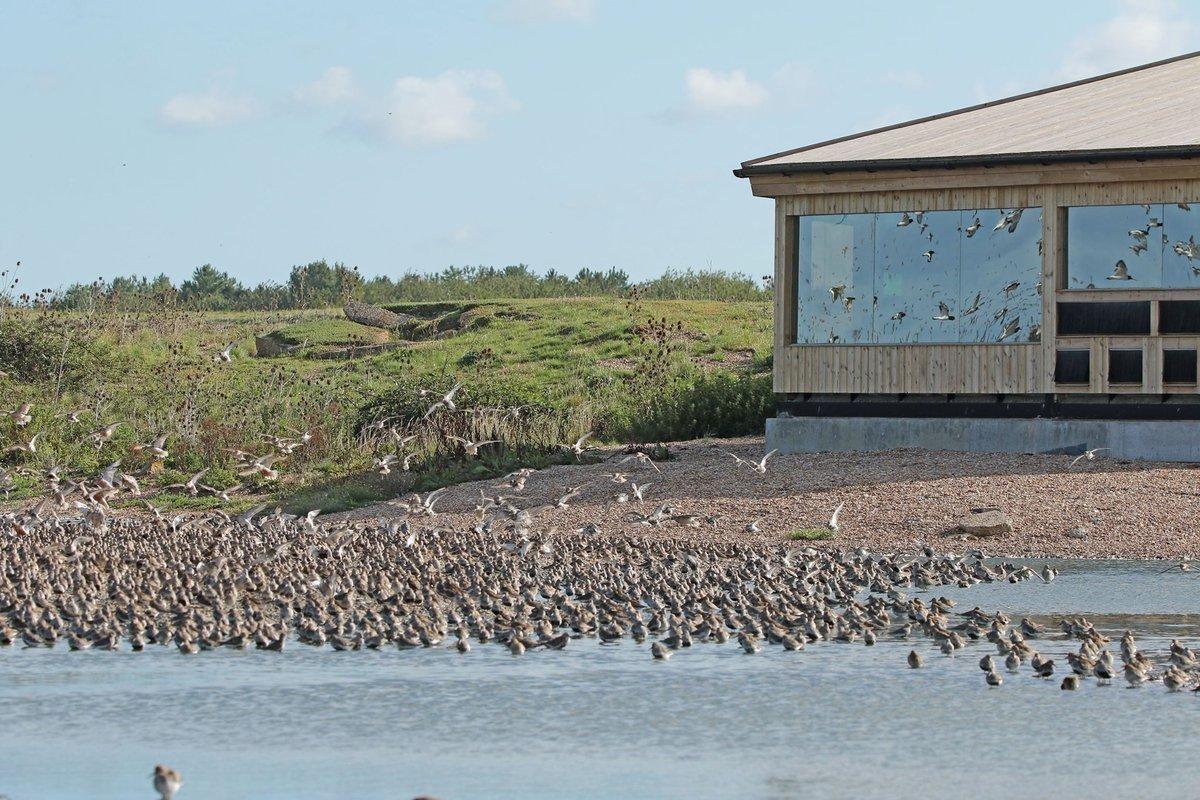 RSPB Snettisham Reserves - Bird Watching Holidays