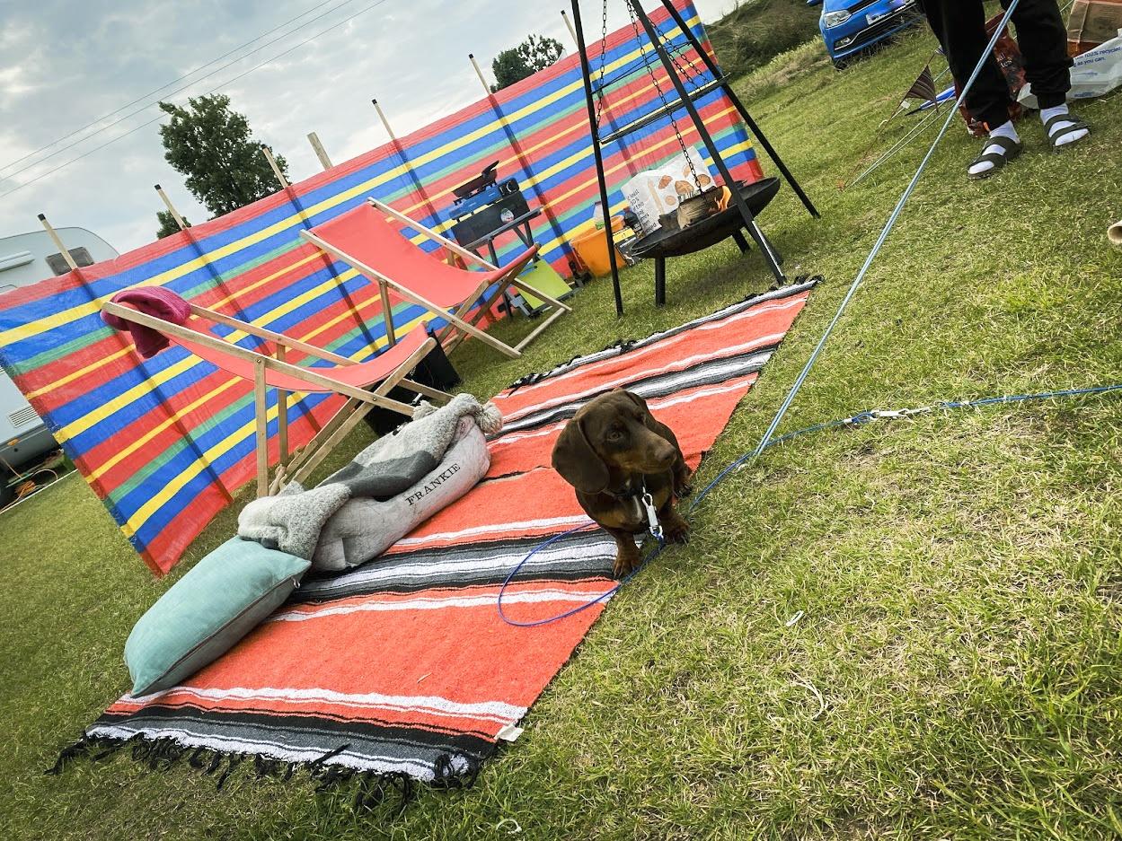 Pet Friendly  - Camping Holidays Norfolk