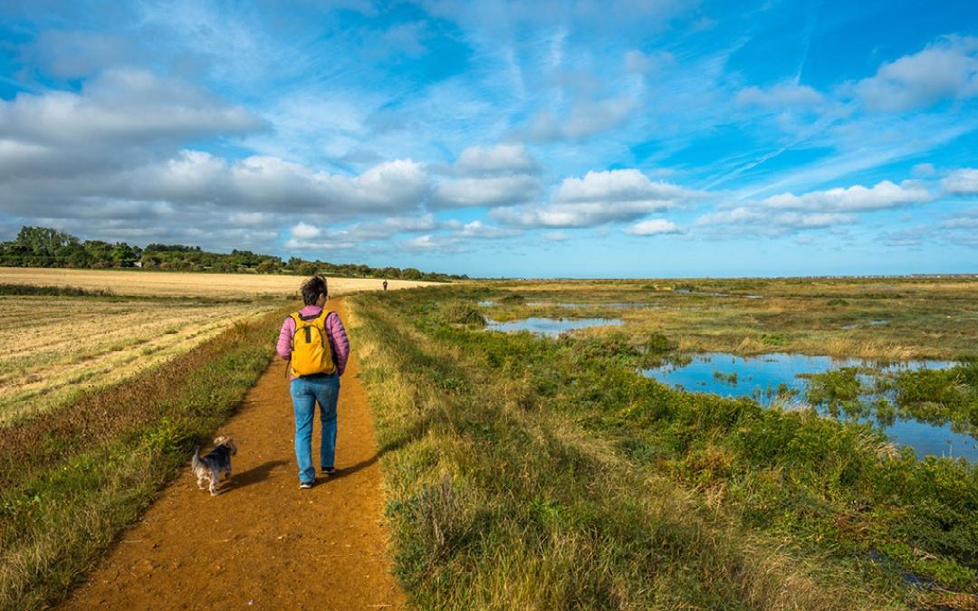 Hiking the norfolk coast path with your dog on a sunny afternoon with views of the marshes