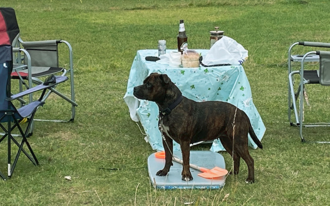 mYminiBreak, Hunstanton Camping, dog friendly camping