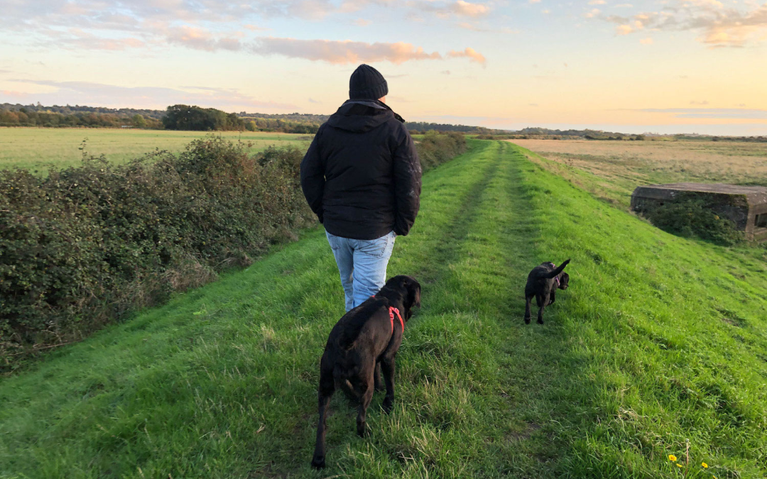 mYminiBreak, Dog friendly walks along the Norfolk Coast Path