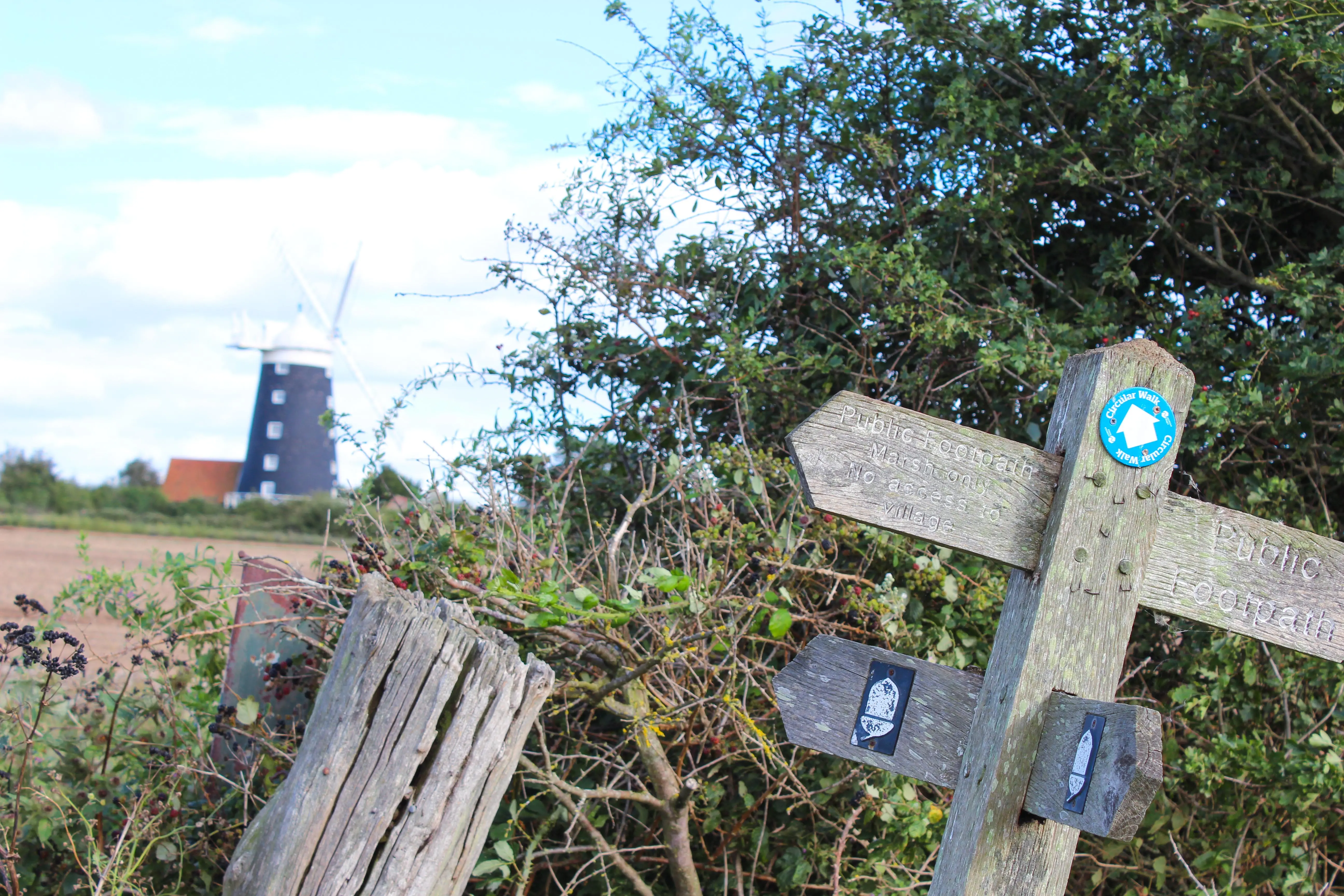 west of wells camping & glamping burnham windmill and walking paths
