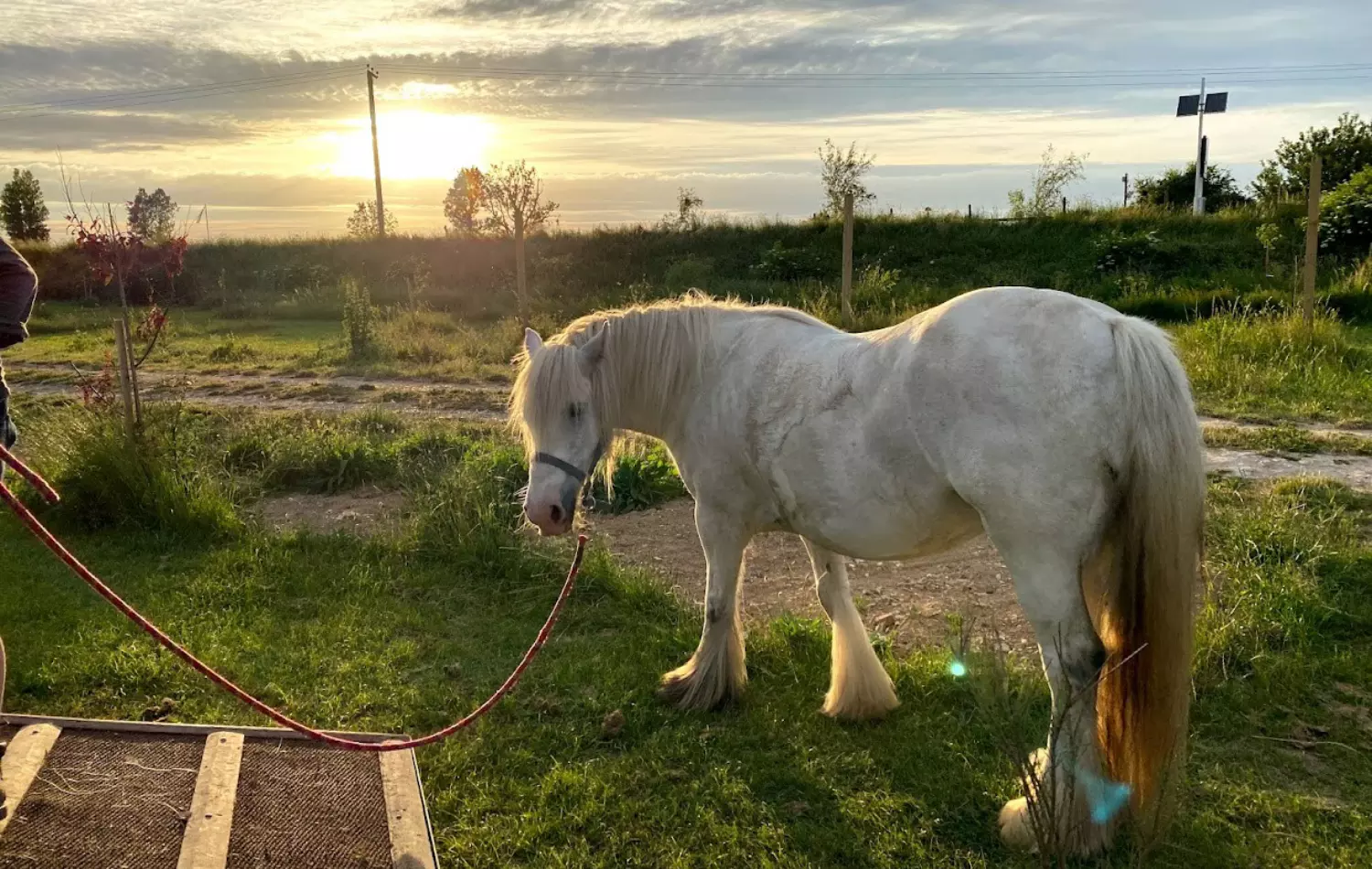 Holidaying with your horse, Norfolk coastal camping 