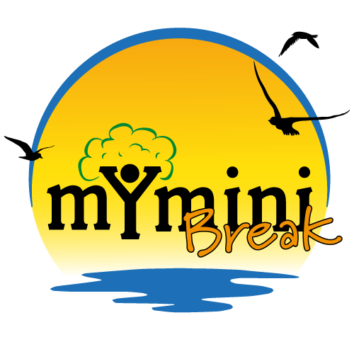 CRM - mYminiBreak