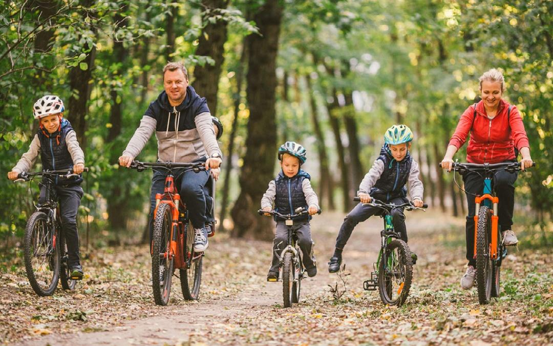 A family on bikes in Thetford Forest