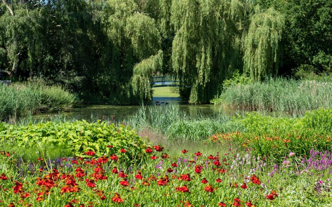 Pensthorpe Park with a lake and flowers