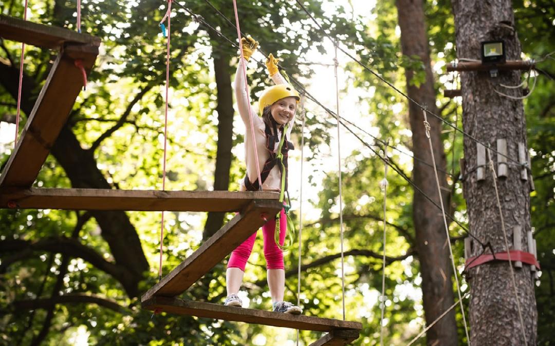 Go ape in thetford forest here at Norfolk Glamping