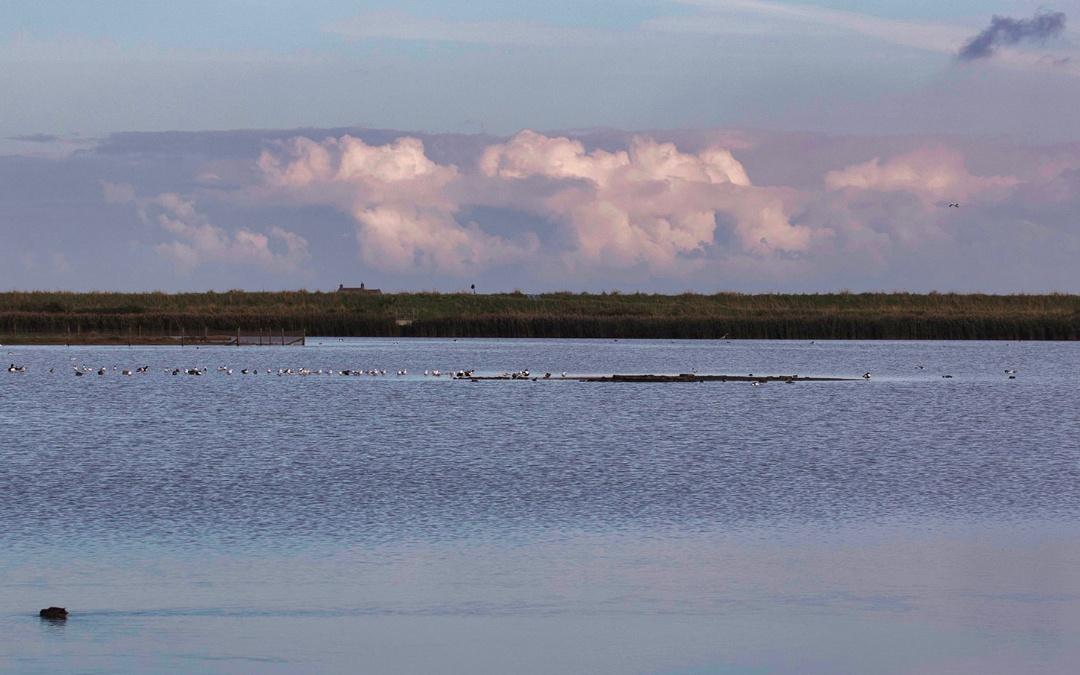 RSPB Titchwell Marsh Nature Reserve - Hunstanton Holidays 