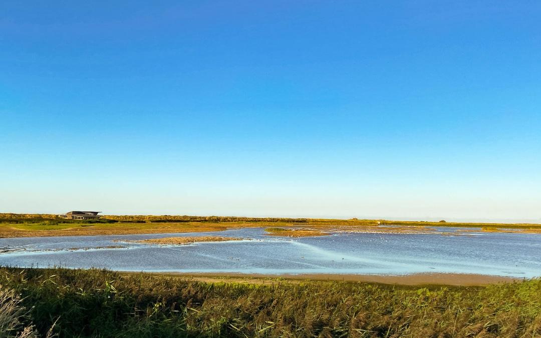 visit rspb titchwell here at Norfolk Holiday Accommodation