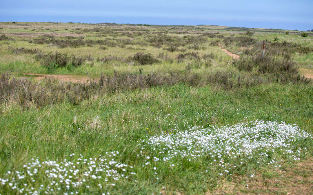 open fields on the coast path