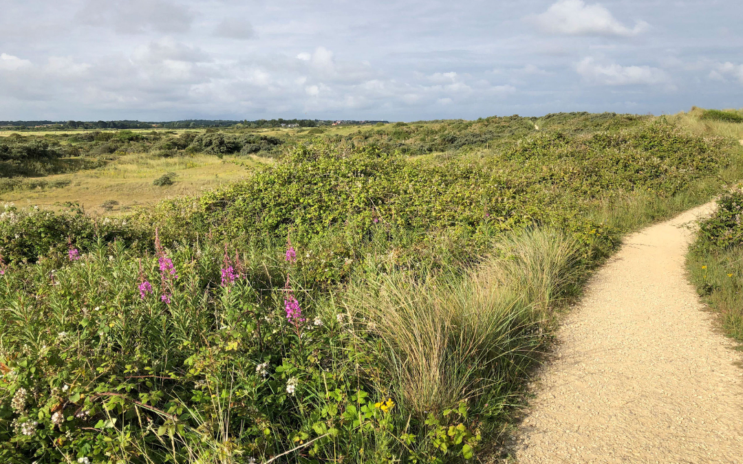 holme dunes national nature reserve