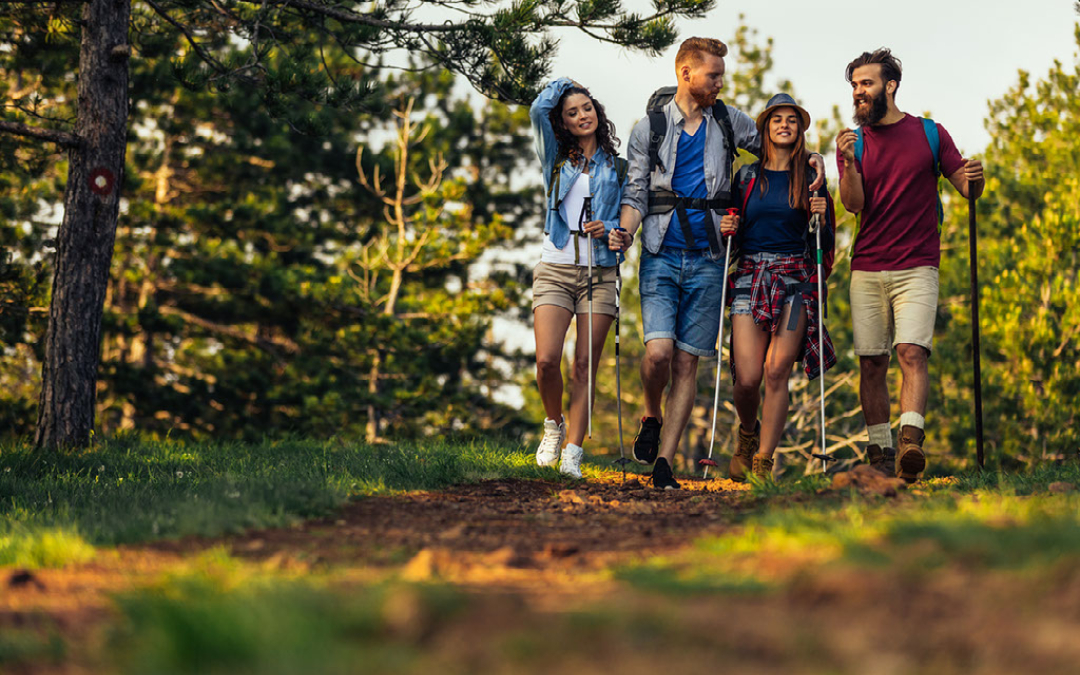 friends hiking through a forest